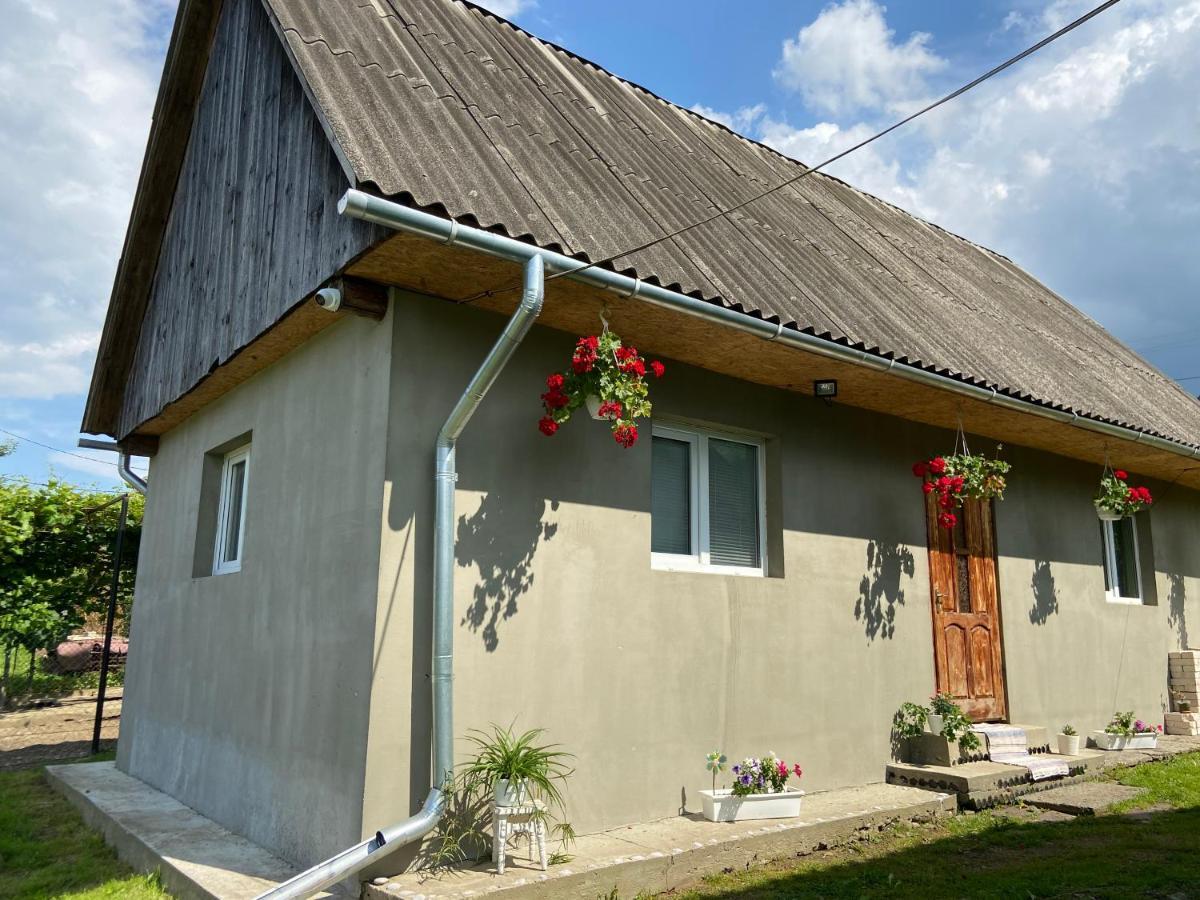 Біля Саду Volovets Extérieur photo