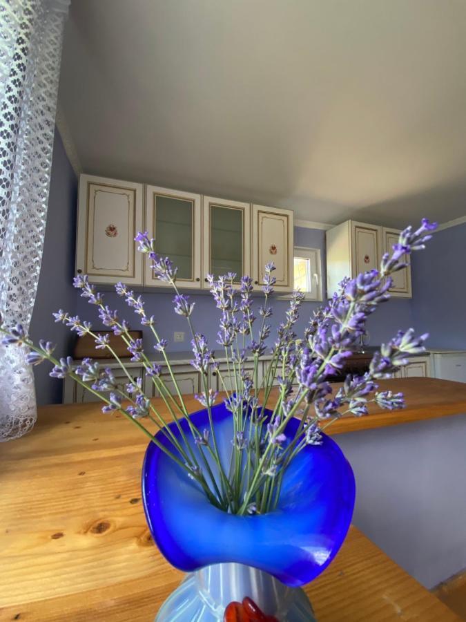 Біля Саду Volovets Extérieur photo